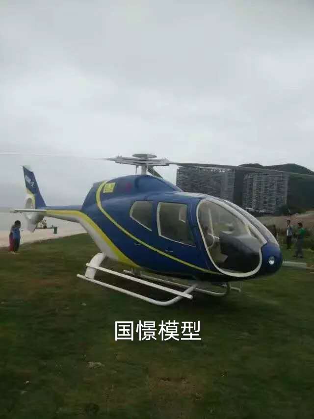 靖边县飞机模型