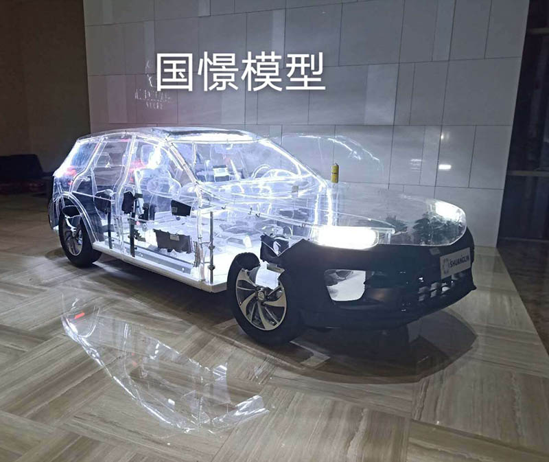 靖边县透明车模型